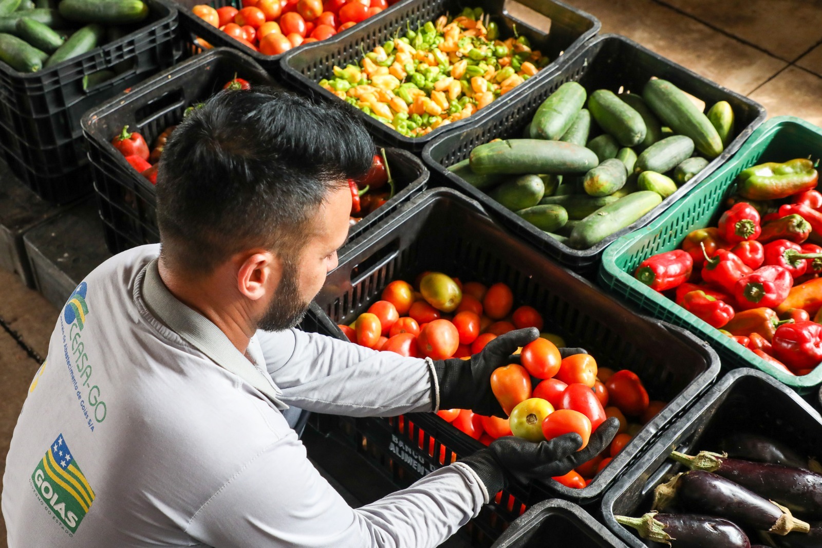 A engrenagem invisível que mantém Goiás longe da fome