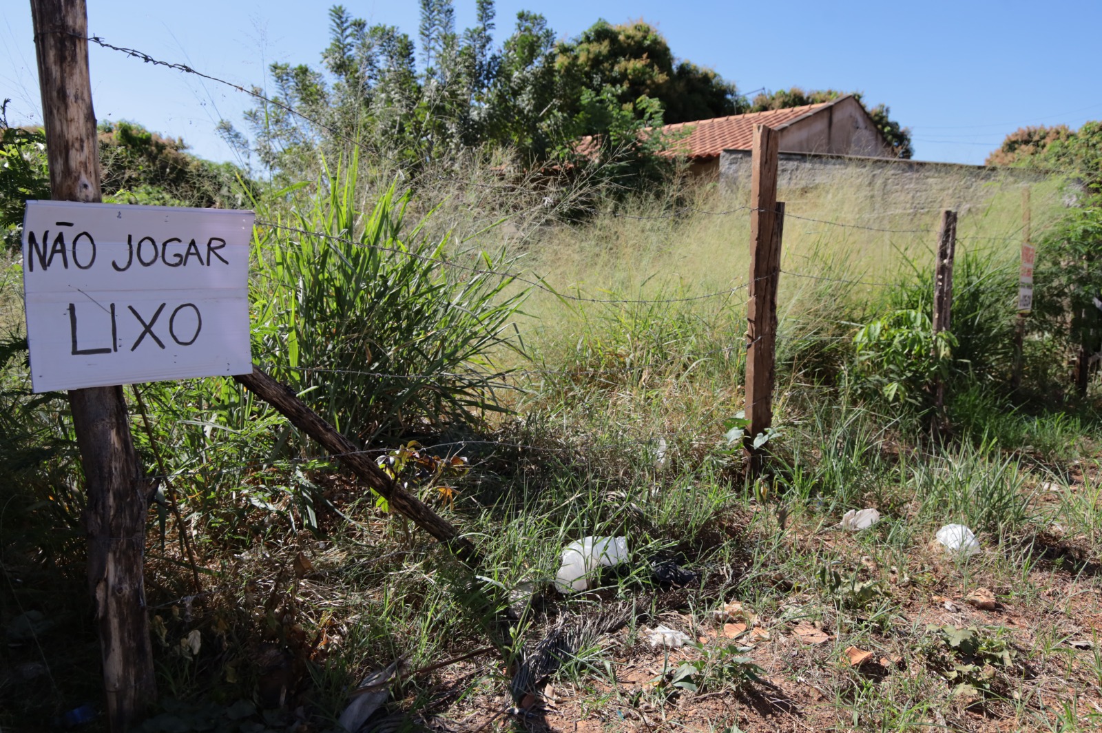 Aparecida de Goiânia vai passar o trator em lote baldio e cobrar a conta