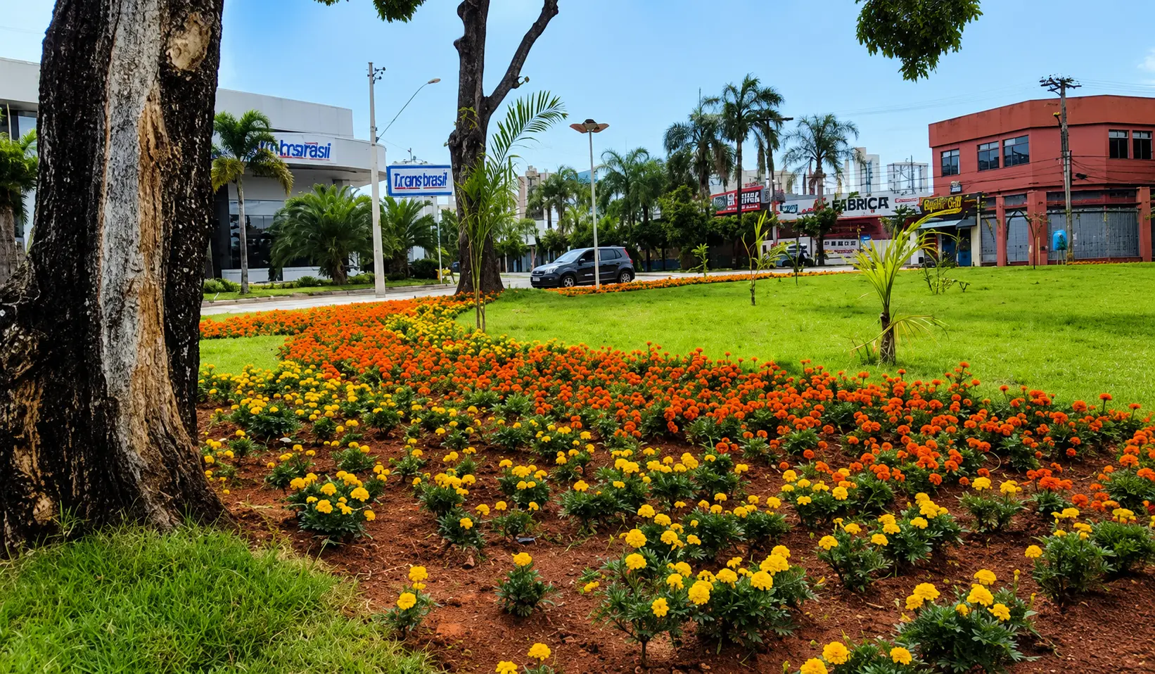 Goiânia entrega reestruturação viária na Praça Ciro Lisita — imagem secundária
