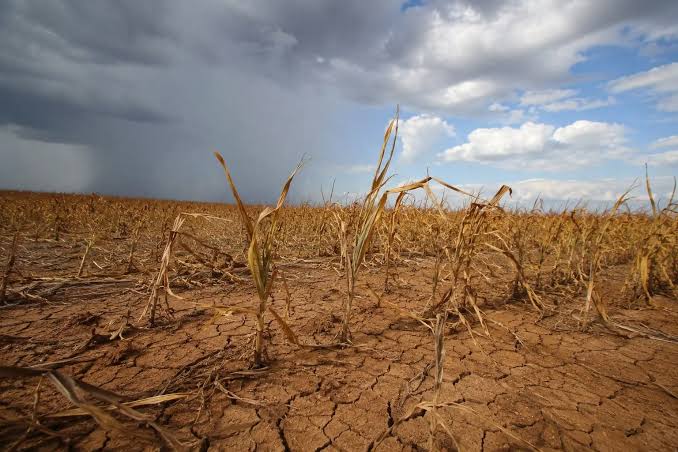 El Niño ameaça safra em Goiás e cobra respostas urgentes