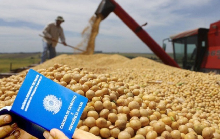 Agropecuária goiana cria mais de 8 mil vagas formais