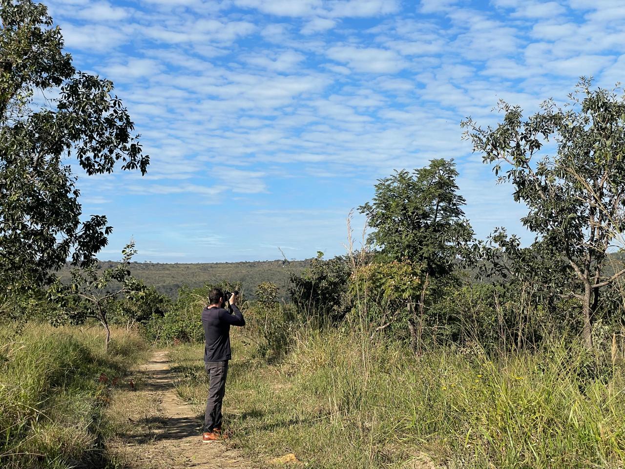 Universidade de Goiás usa IA para caçar fogo no Cerrado