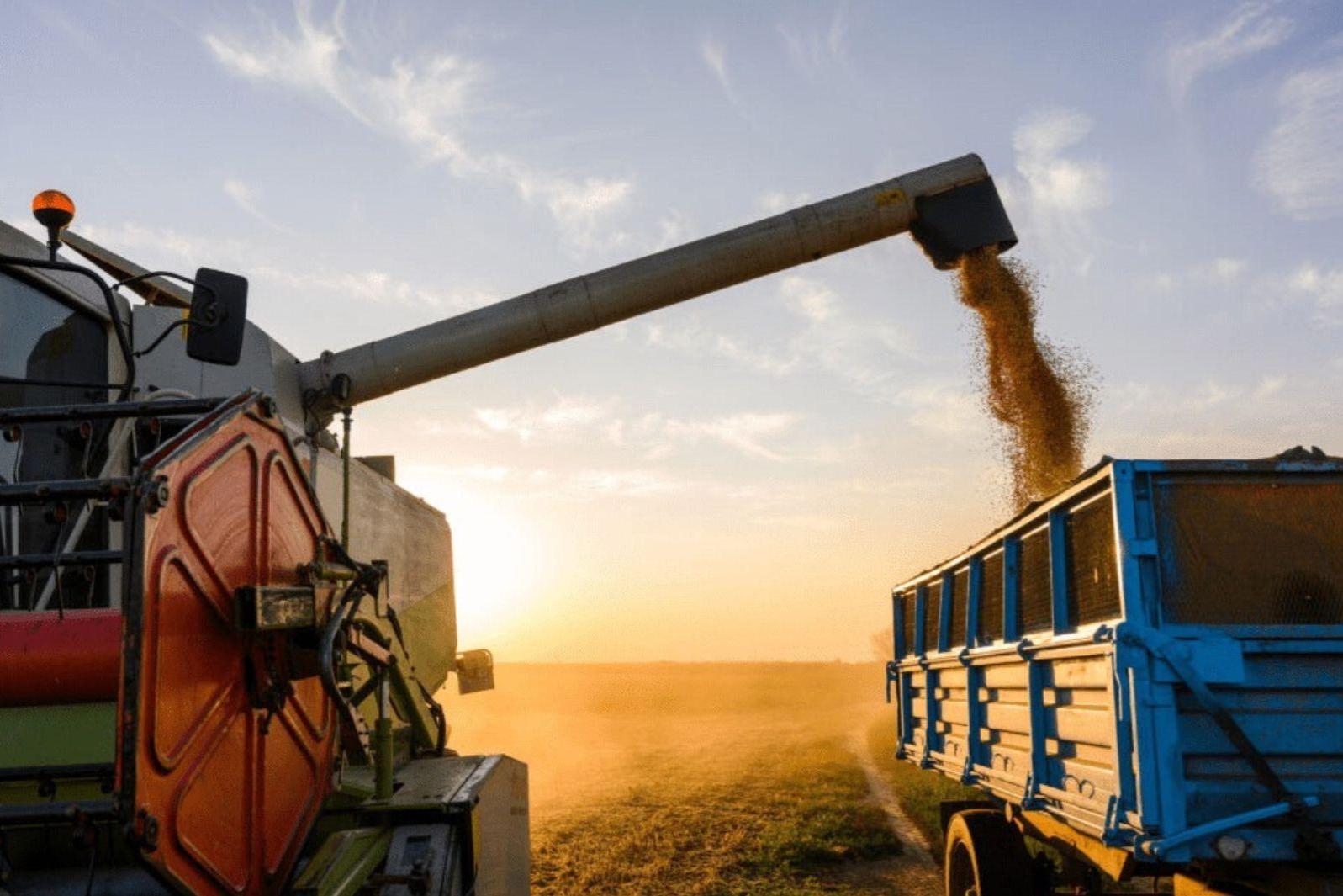 Cooperativas de crédito ampliam financiamento e impulsionam agronegócio em Goiás