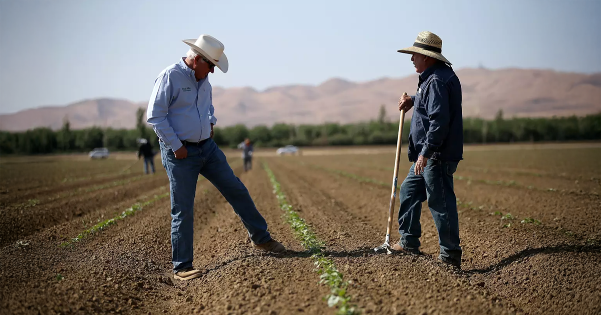 Cooperativas de crédito ampliam financiamento e impulsionam agronegócio em Goiás — imagem secundária
