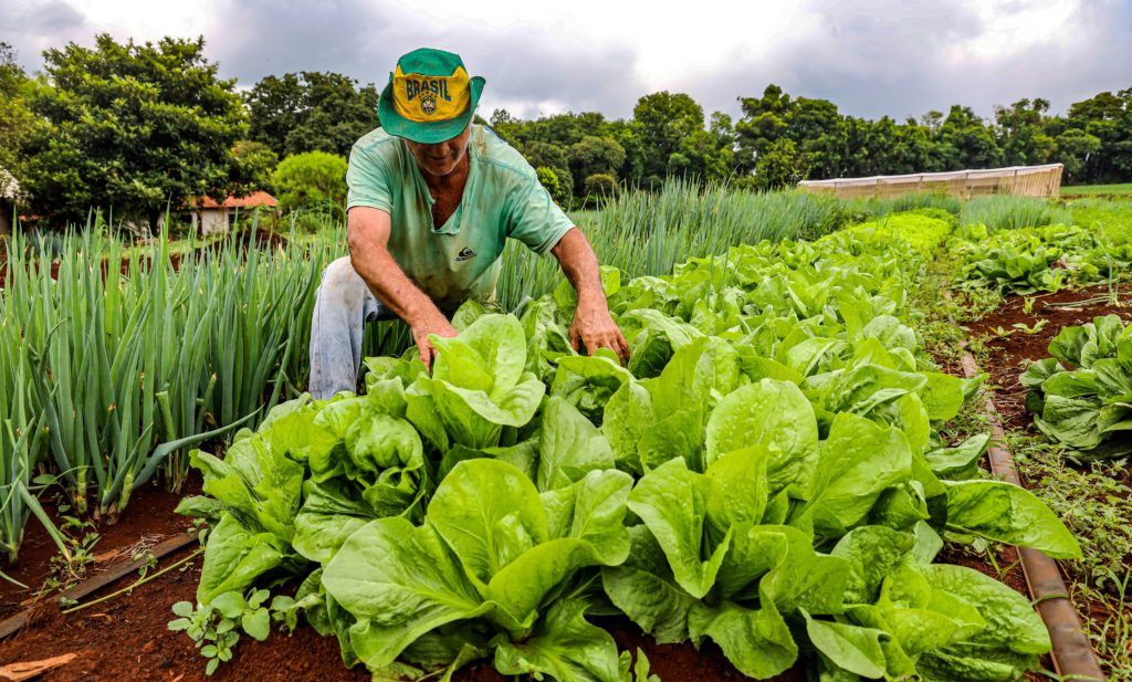 Goiânia lança programa de troca de recicláveis por alimentos
